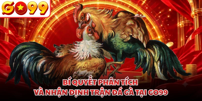 Bí quyết phân tích và nhận định trận đá gà tại GO99