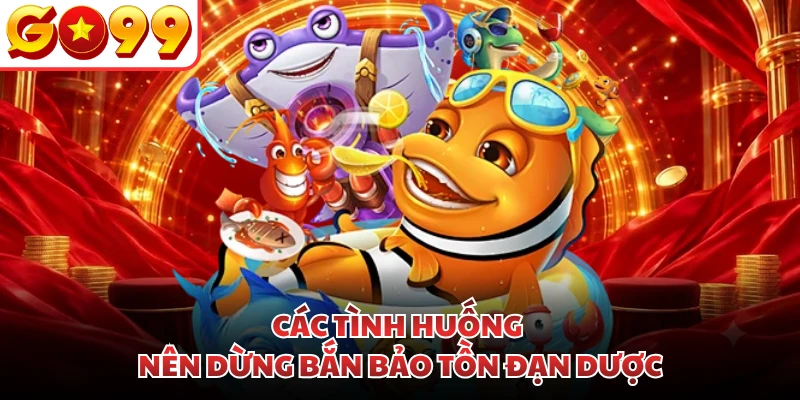 Các tình huống nên dừng bắn bảo tồn đạn dược