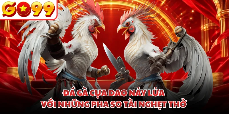 Đá gà cựa dao nảy lửa với những pha so tài nghẹt thở