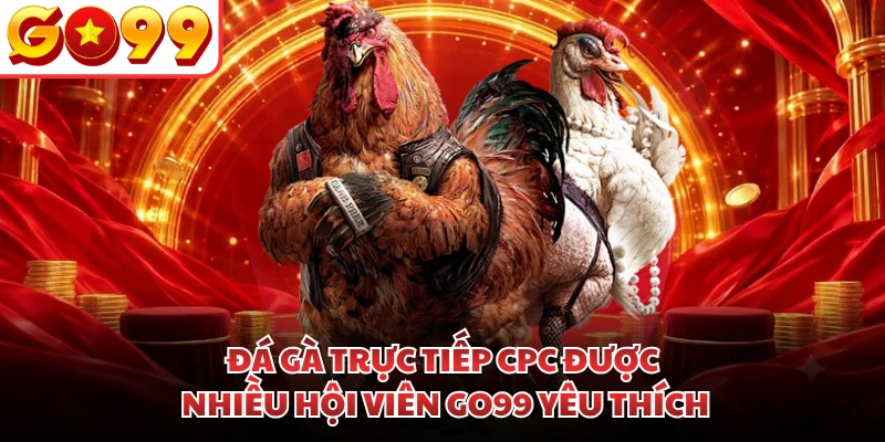 Đá gà trực tiếp CPC được nhiều hội viên GO99 yêu thích