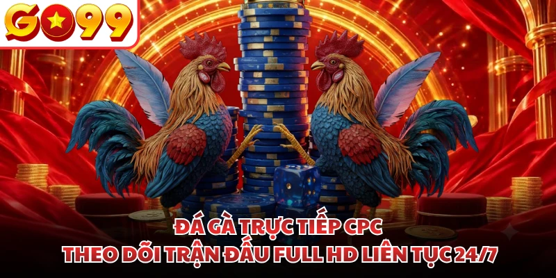 Đá Gà Trực Tiếp CPC Theo Dõi Trận Đấu Full HD Liên Tục 24/7