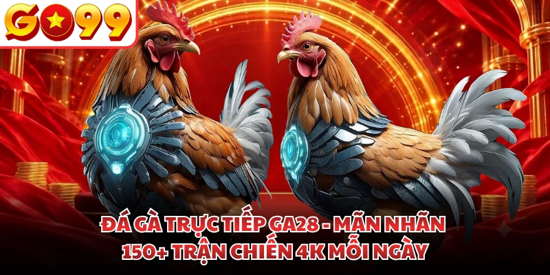 Đá Gà Trực Tiếp GA28 - Mãn Nhãn 150+ Trận Chiến 4K Mỗi Ngày