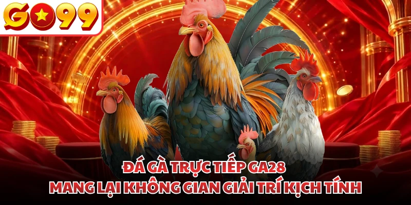 Đá gà trực tiếp GA28 mang lại không gian giải trí kịch tính