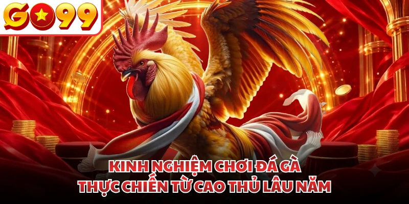 Kinh nghiệm chơi đá gà thực chiến từ cao thủ lâu năm