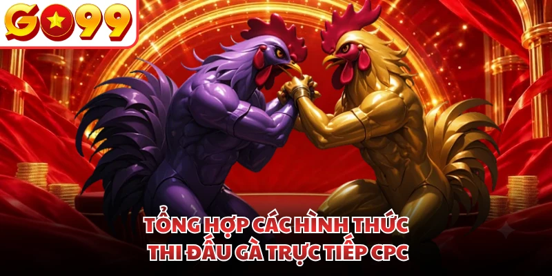 Tổng hợp các hình thức thi đấu gà trực tiếp CPC